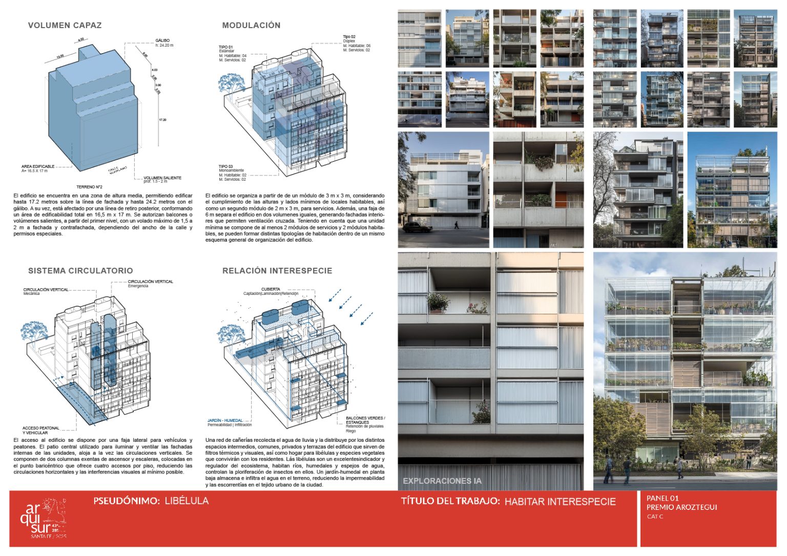 AROZ2025-C-libélula-L1