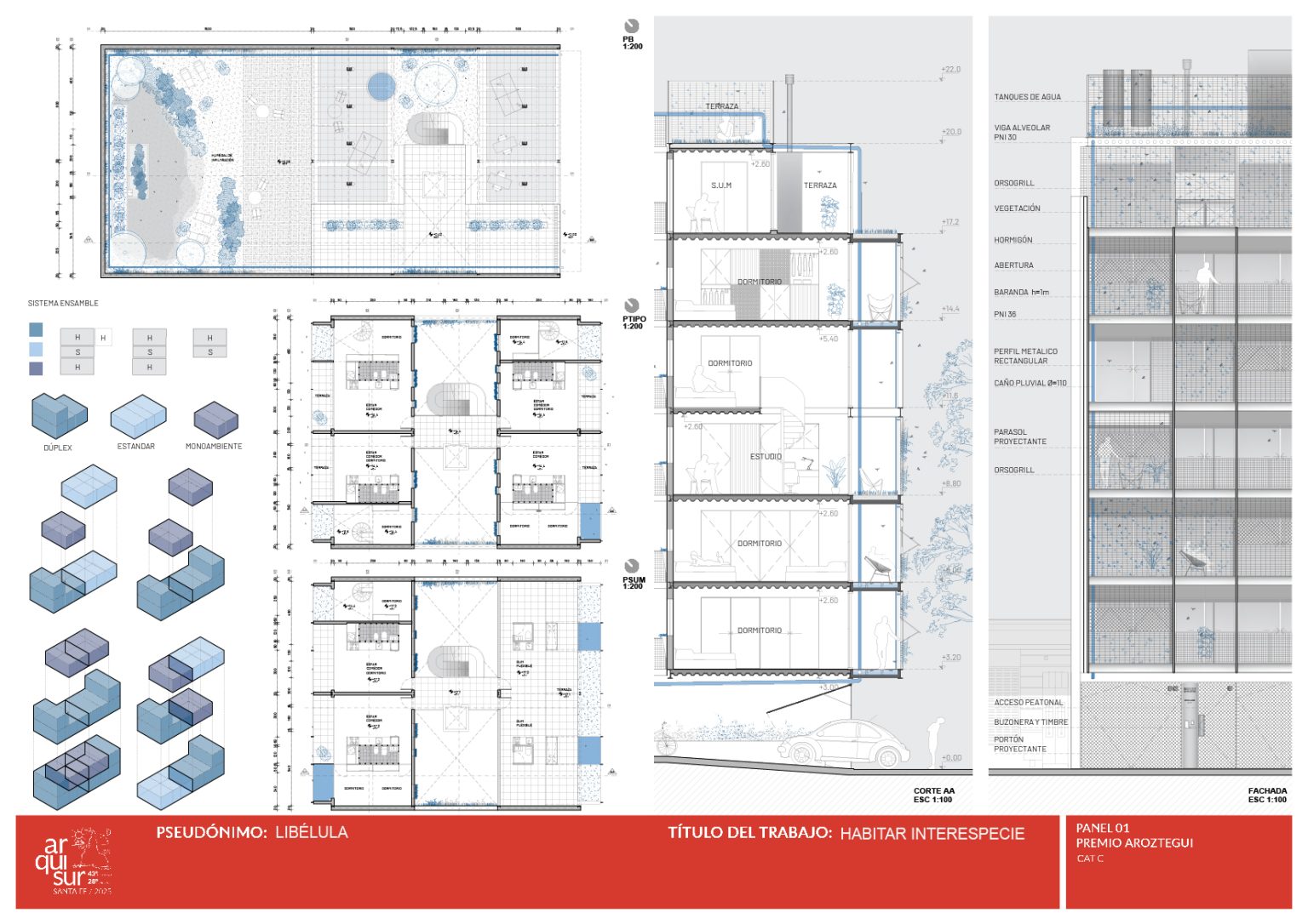 AROZ2025-C-libélula-L2