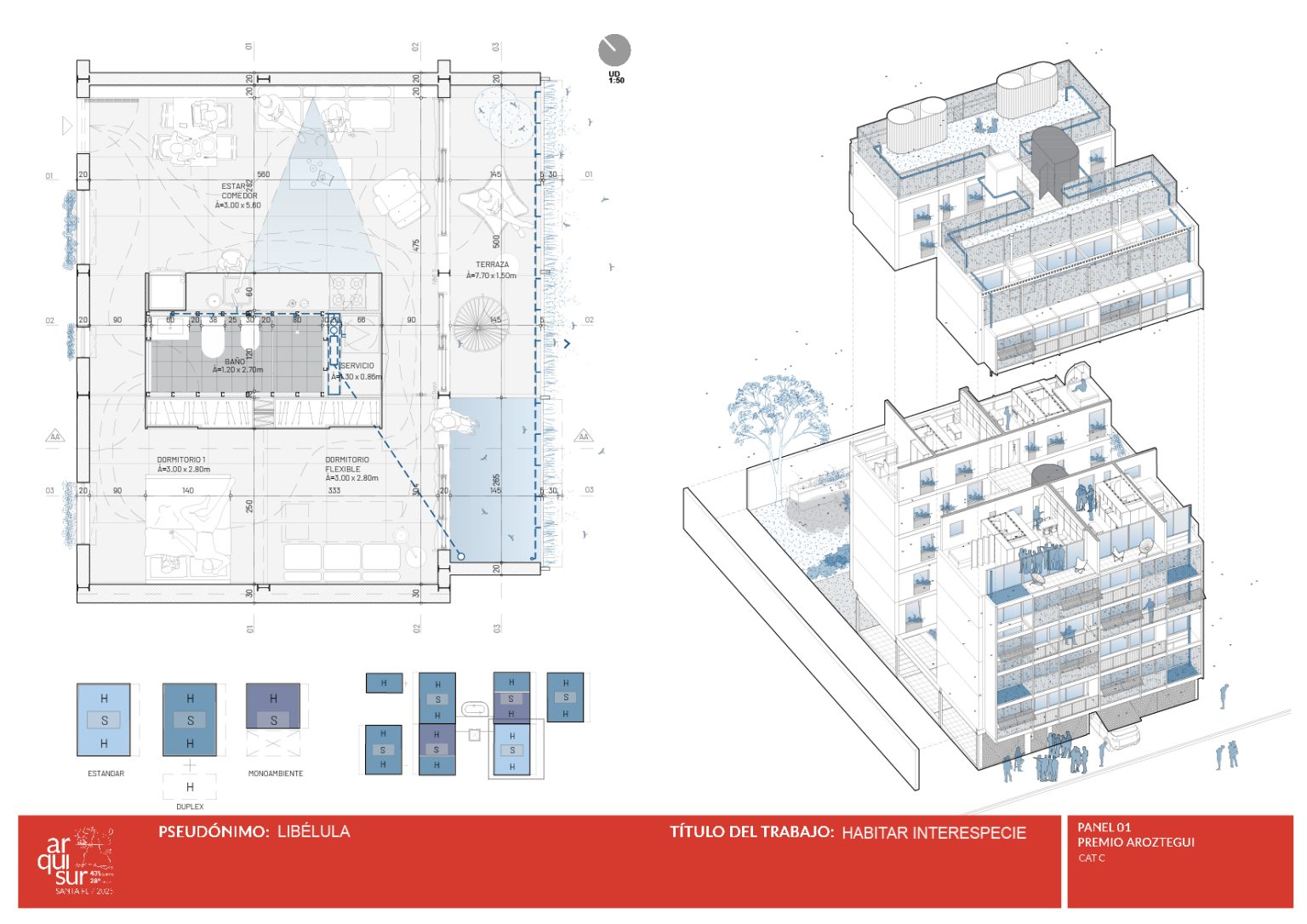 AROZ2025-C-libélula-L3